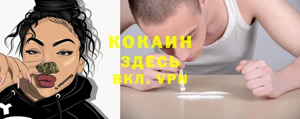 ГАЛЛЮЦИНОГЕННЫЕ ГРИБЫ Аркадак