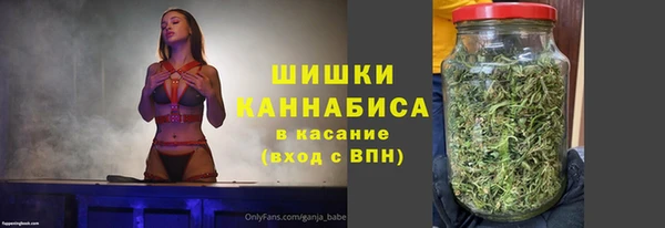 ГАЛЛЮЦИНОГЕННЫЕ ГРИБЫ Аркадак
