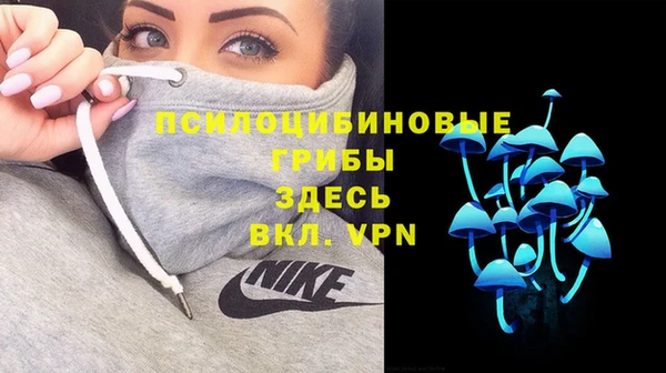 ГАЛЛЮЦИНОГЕННЫЕ ГРИБЫ Аркадак
