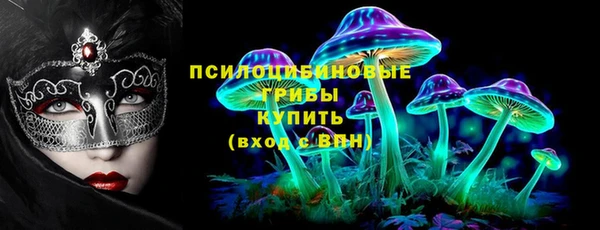 ГАЛЛЮЦИНОГЕННЫЕ ГРИБЫ Аркадак