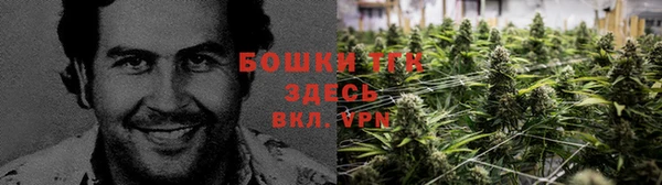 сатива Нефтегорск